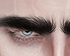 @ Shape Brows
