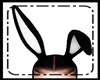 (OM)Ears Bunny