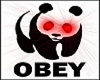 obey panda couch