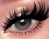 Couture Lashes