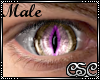 {CSC} Cat Eyes Gold Male