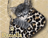 D| Kitty Hand Purse V1