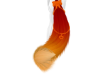 sunburst orange tail