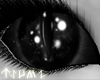 ~Tsu Void Kagon Eyes