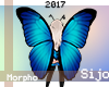 S| Morpho Wings