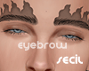 S▶Thai Giant Eyebrow
