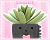 D. Dino Planter Black