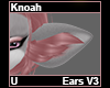 Knoah Ears V3
