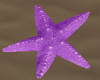 Starrfish Lavender