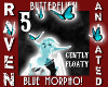 BLUE MORPHO BUTTERFLIES!