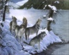 wolves howling
