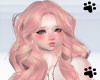.M. Panchiti - Rose