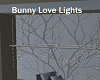Bunny Love Lights