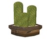 POTTED CACTUS PLANT