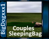[BD]CouplesSleepingBag