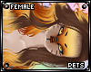 [PETS] Tigger | hair v1