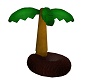 Palm Tree Float