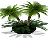 tropical plant 1
