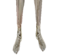 Male Feet skull