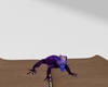 blupurp bearded dragon