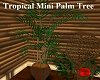 Tropical Mini Palm Tree