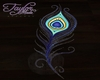 pck feather floor decal