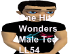 One Hit Wonders Tee(M)