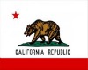 Cali Republic Plugs