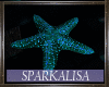 (SL) OCEANIC Starfish