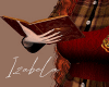 𝐼𝑧.BookMagicPoses