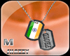 *S* India Flag Dog Tag