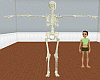 realistic skeleton