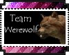 Team Werewolf
