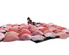 Pink Camellia Pillows