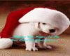 Christmas Puppy Animated
