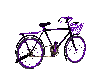 bike purple animated
