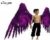 Purple Swirl Wings