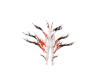 Fire Body Smoke