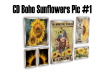 CD Boho Sunflowers Pic #