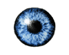 [DJ]Eyes Blue M