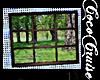 CC* School 2 Window