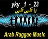 Arab Reggae Music