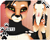 [Pets] Zorro | abs fur