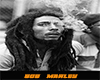 P. Bob Marley