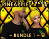 ! PINEAPPLE Bundle 1