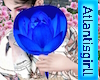 Uchiwa Fan Blue Flower