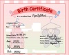 Kyles Birth Certificate