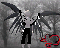 Black Paper-Cut wings