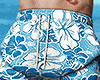 BeachBoy Blu I.
