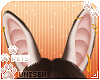 [Pets] Binky | ears v2